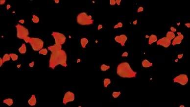 情人节玫瑰浪漫背景视频视频的预览图